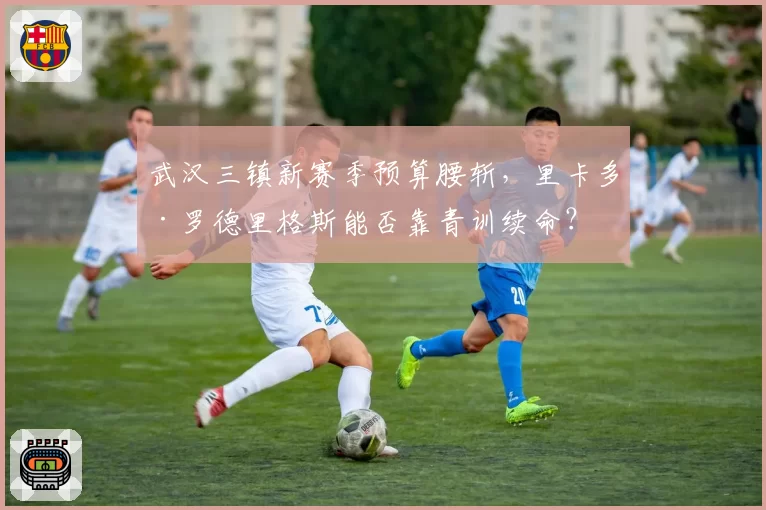 武汉三镇新赛季预算腰斩，里卡多·罗德里格斯能否靠青训续命？