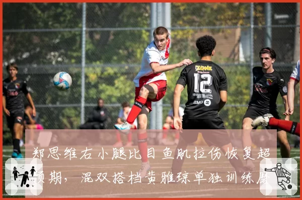 郑思维右小腿比目鱼肌拉伤恢复超预期，混双搭档黄雅琼单独训练磨合