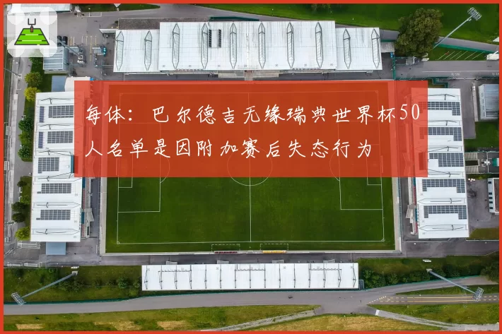 每体：巴尔德吉无缘瑞典世界杯50人名单是因附加赛后失态行为
